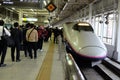 The queue for boarding the train-bullet Shinkansen